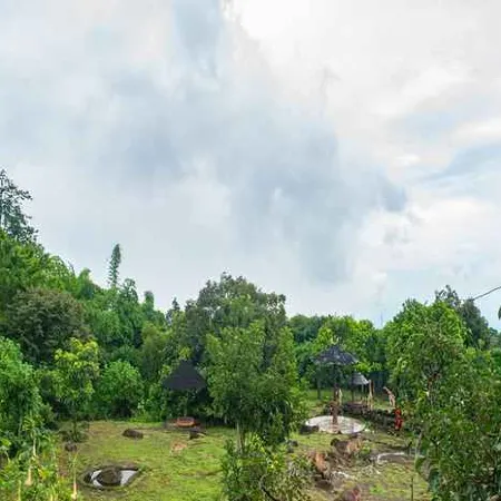 Baobab Safari Resort