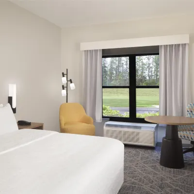 Hampton Inn & Suites Tampa-North Hotels near Busch Gardens