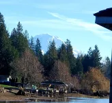 Lakefront Cottage Near Crystal Mountain & Rainier
