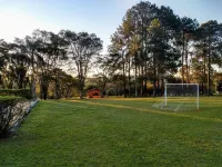 Very green place to relax by the pool