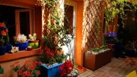 Small Patio in Downtown
