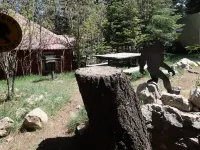Bigfoot's Bunkhouse! Cozy Cabin, Cool Breeze Dogs Welcome! 45 min to white sands 클라우드크로프트 호텔