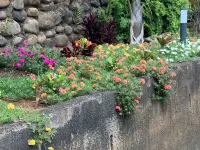 Villa Teanaiva Hotels near Museum of Tahiti and The Islands