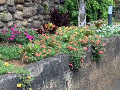 Villa Teanaiva Hotels in 