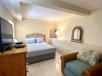 Escape the Cold During the Holidays & Stay at Conrads! A Tropical Getaway!