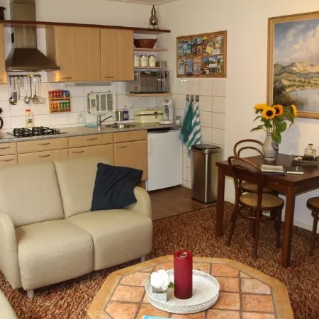 Stylish apartment with garden in a former farmhouse in De Waal