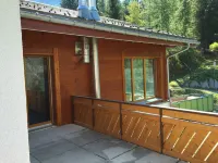 Luxury chalet (about 250 sqm) - built in 2016 - Grächen (Valais) / near Zermatt