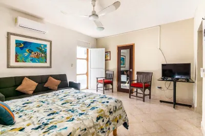 Cozy Studio/Room Enclosed on an Oceanfront Property at Mima´s Village Cozumel Hotels near Cozumel Butterfly & Botanical Gardens