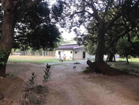 Farm Stay Along River. 15 mins away from the Beach with Fiber Optic, Netflix