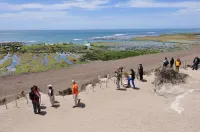託斯卡旅舍 - 3星級