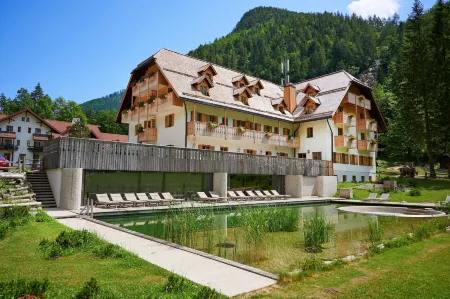 Hotel Plesnik Logar Valley Отели в г. Логарська Долина
