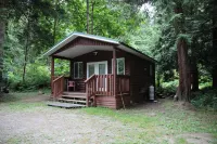 Cedar Grove Motel and Cabins