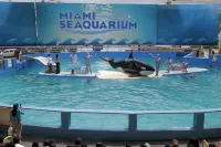 "Seaside Chic: Near Aventura Mall"