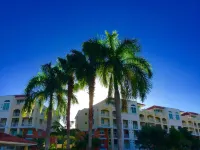 Infinity Pool w Ocean Views-CrashBoat Beach-Surfing-Snorkeling-Diving-Paradise