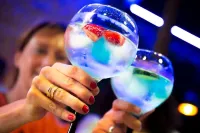 Hotel & Spa Princesa Munia - bar