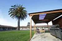 Golden Palms Motel - Frühstück