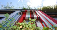 Dolce Lobo Boutique Stay