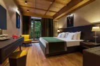 Ana Hotels Bradul Poiana Brasov - Gym