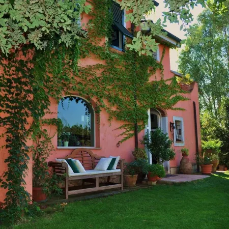 Podere l'Olmaia
