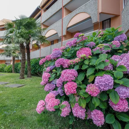 LES TERRASSES DE BORDA