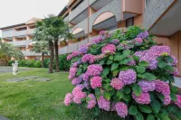 LES TERRASSES DE BORDA