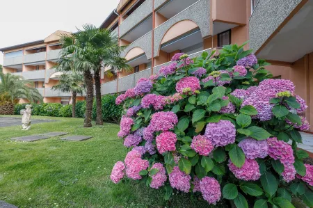 LES TERRASSES DE BORDA Отели в г. Дакс