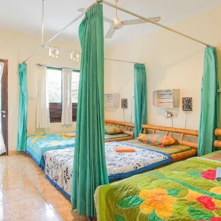 Green View Ubud Hostel Bali