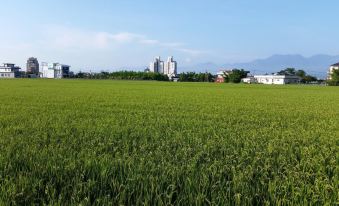 Xi Xiang Feng Hostel