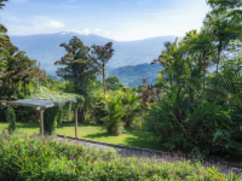 Lamangata Luxury Surf Resort Hotels in Savegre