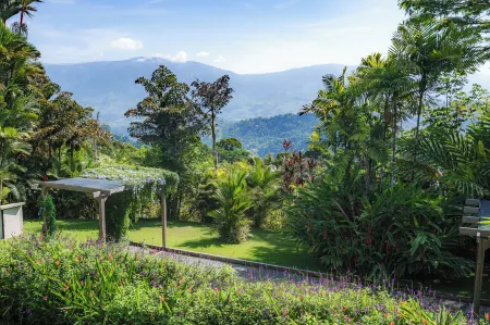 Lamangata Luxury Surf Resort