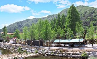 Wanju Wild Flower Pension