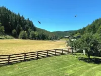 Beautiful New Home Short Drive to Bandon Beach and the Coquille River!