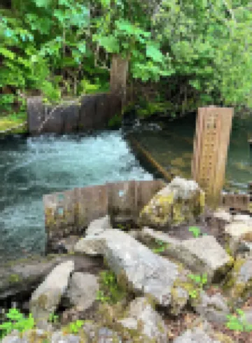 Alaska Bear Lodge LLC 貝爾克里克酒店