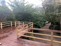 Tyrone Foreshore Treetop Cottage