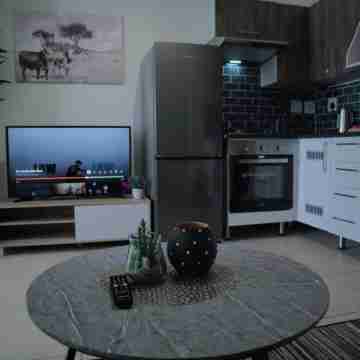 Luxury 1bedroom apartment in Sandton. perfect for business travel. Pet friendly! Others