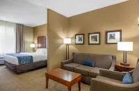 Comfort Inn & Suites Lynchburg Airport - University Area Hotels in Campbell County