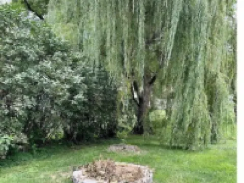 Cozy Okoboji Lake House, 2 blocks from attractions 阿諾茲帕克酒店