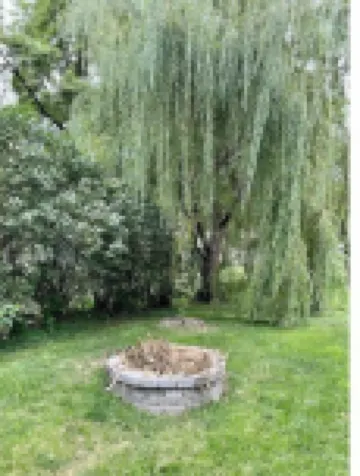 Cozy Okoboji Lake House, 2 blocks from attractions