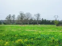 Deck & Pasture Views! Bealeton Farmhouse Escape Hotels in Fauquier County