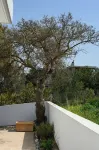 House with sea view. Family-friendly.
