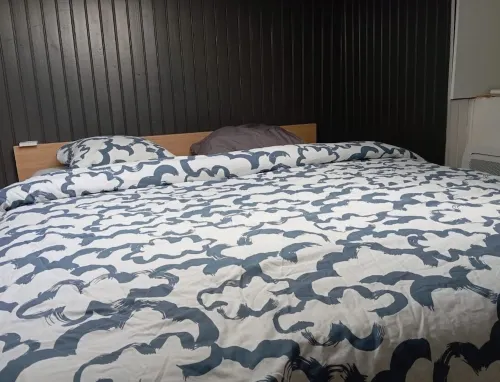 Lovely, welcoming apartment in Nantes