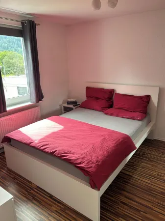 Vacation apartment Alpirsbach