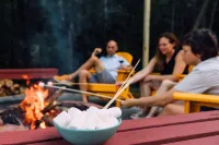 Hideout Haven- SPA-Firepit-Game Room-Outdoor Cinema-Dog Friendly-Near Wineries!