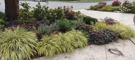 Self Contained Guest Suite Отели в г. Суррей