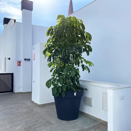 Apartment in Nerja with Panoramic Sea Views