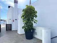 Apartment in Nerja with Panoramic Sea Views