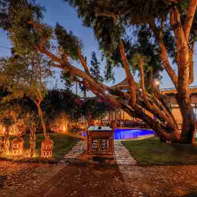 Riad Dar Etto Hotel Exterior