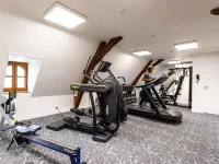 Hôtel de Bourbon - Mercure Bourges - gimnasio