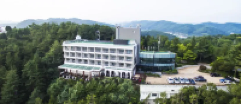 Asia Lakeside Hotel Hotels in Jinju
