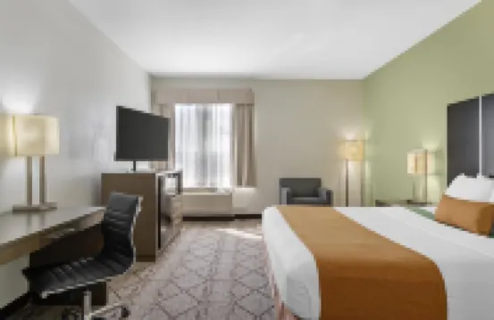 Best Western Plus North Houston Inn  Suites Hotels near National Museum of Funeral History